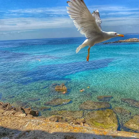 Casa Di Mirko * Gallipoli